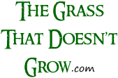 The Grass That Doesn't Grow
